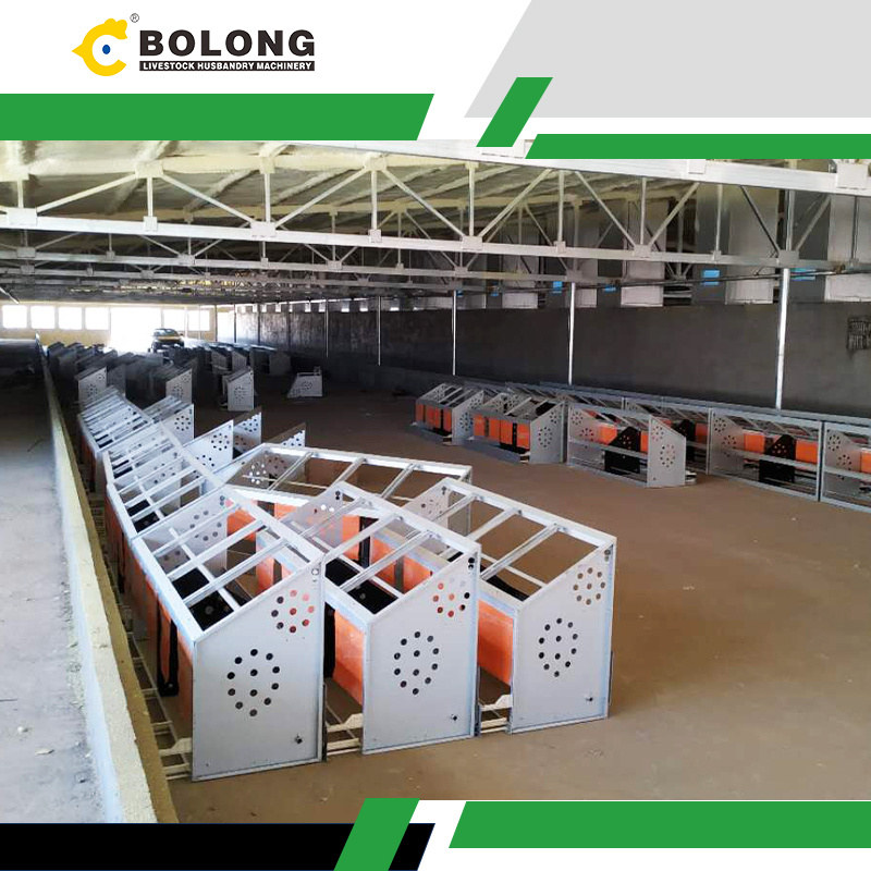 premium quality Egg Harvesting Machine